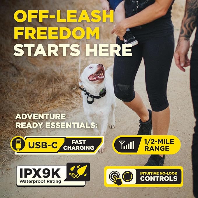 Dogtra 200iQ Remote Training E Collar – 100 Levels, Tone, Vibration, 1/2 Mile Range – Compact, Waterproof, One-Handed Control for Dogs 10 lbs+ – Lightweight Design for Daily Training – Modern Dots