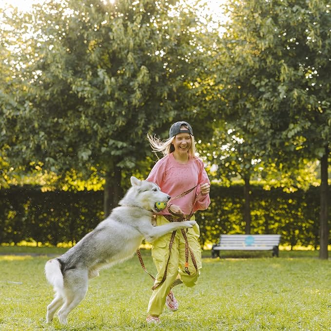 BESTHLS Dog Tennis Ball 2 inch Pet Toy Rubber Balls for Pet Puppy Tiny Small Dogs Fetching Exercise & Training (16 Pack)