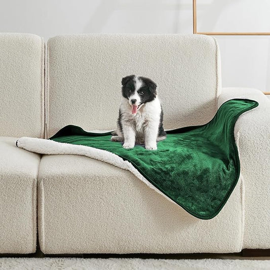 Waterproof Blanket for Bed Couch Sofa, Soft Liquid Pee Proof Pet Blanket for Dog Puppy Cat, Reversible Sherpa Fleece Furniture Protector (Green, 30x40 inches)