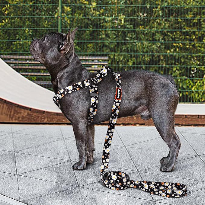 QQPETS Dog Harness Leash Set Adjustable Heavy Duty No Pull Halter Harnesses for Small Medium Large Breed Dogs Back Clip Anti-Twist Perfect for Walking (XS(12"-18" Chest Girth), White Daisy)