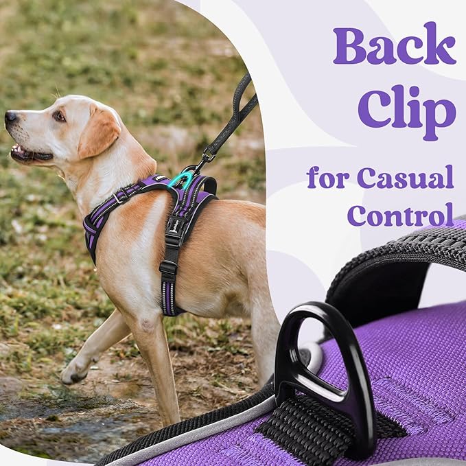 rabbitgoo Dog Harness for Large, No Pull Pet Harness with 3 Buckles, Adjustable Soft Padded Vest with Control Handle, Walking Reflective Pet Vest for Extra Large Dogs, Purple, XL