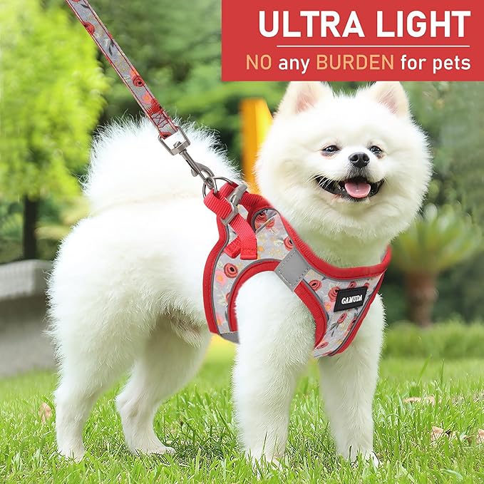 GAMUDA Small Dog Harness Collar and Leash Set, Step in No Chock No Pull Soft Mesh Adjustable Dog Vest Harnesses Plaid Reflective for Dogs Puppy Cats Kitten Rabbit (Red Flower, XXS)