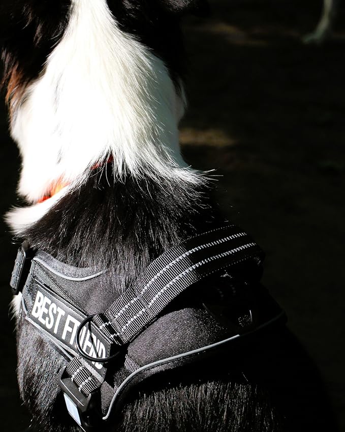 AUROTH Dog Harness and Leash Set, Soft Padded Dog Vest with 5.25FT Dog Leash, No Choke, Easy On Pet Vest, Adjustable Reflective No Pull Dog Harness for Large Dogs, Easy Walking and Training