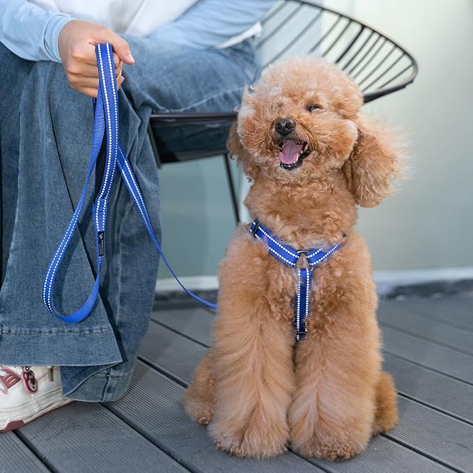 EXCELLENT ELITE SPANKER No Pull Dog Harness Reflective Nylon Vest L-Shaped Adjustable Easy Pet Harness for Small Medium Large Breeds Dogs Walking Training Black Red(Blue-S)