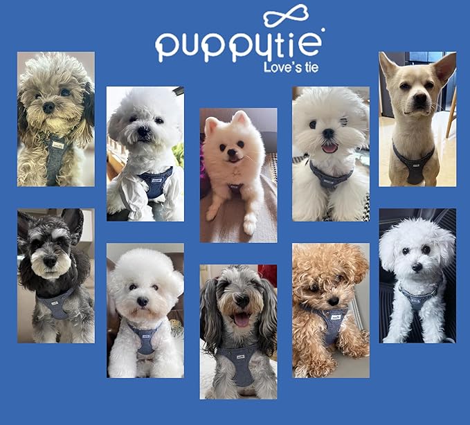 Puppytie No Pull xs Dog Harness with Multifunction Dog Leash,Soft Adjustable No Choke Escape Proof Pet Harness Vest,denimn Light Blue,XS