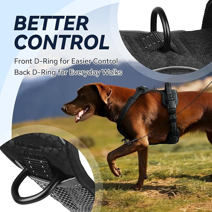 VIVAGLORY Dog Harness Easewalk No Pull Dog Harness with Handle & Front Back Clip for Training Lifting, Easy On Adjustable Padded No Pull for Pet & Puppy, S, Black