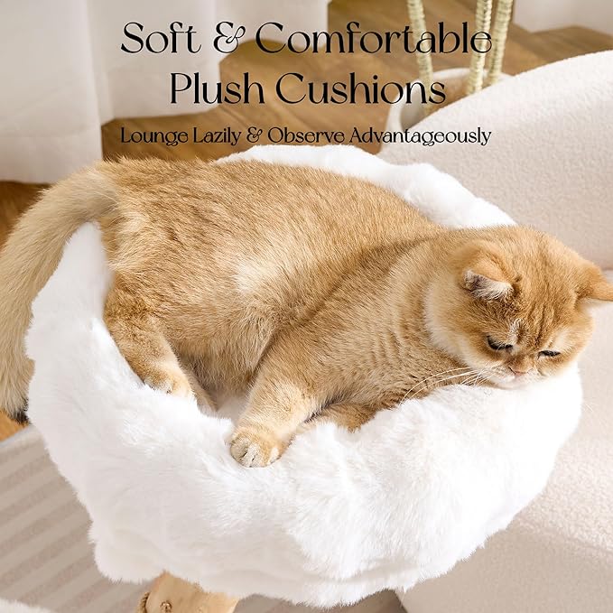 Solid Wood Cat Tree, Modern Cat Tree Tower for Large Indoor Cats, Natural Real Pear Wooden Aesthetic Cat Condo with Scratching Post for Adult Kittens-White