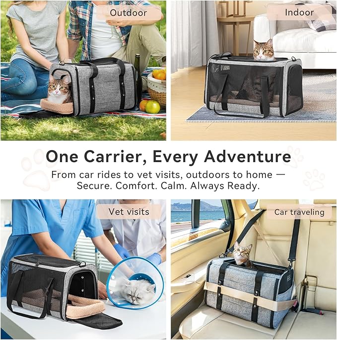 PETSFIT Cat Car Carrier for Medium Cats Dogs, 19"x12"x12" Small Dog Carrier, with Patent Safety Buckles and Escape-Proof Zipper - Safeguarding Car Travel, Vet Visit, Outdoor