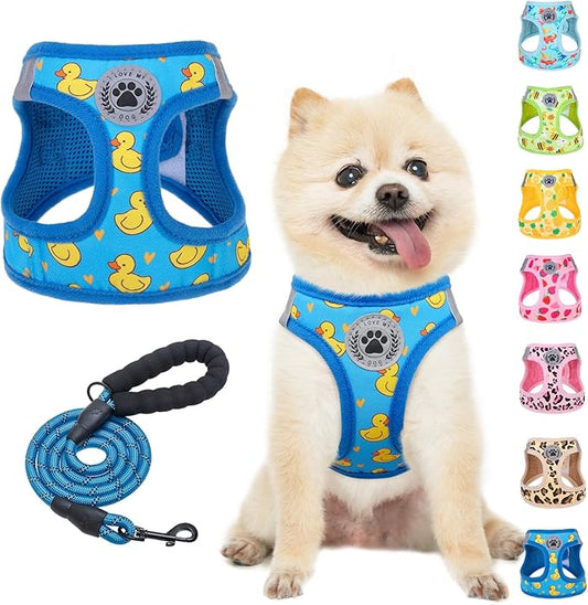 BEAUTYZOO Step in Dog Harness and Leash Set,Reflective Dog Harness No Pull No Choke Puppy Harness for Small Medium Large Dogs Cats,Soft Padded Mesh Vest Harnesses for Girl and Boy Pets, Duck Blue XS