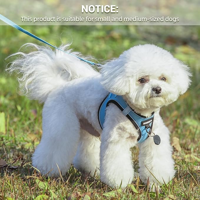 Dog Harness and Leash Set, Dog Harness for Dogs No Pull, No-Chock Step-in Reflective Breathable Lightweight Easy Walk Vest Harnesses with Safety Buckle for Small Medium Dogs, Cats (Light Blue, XL)