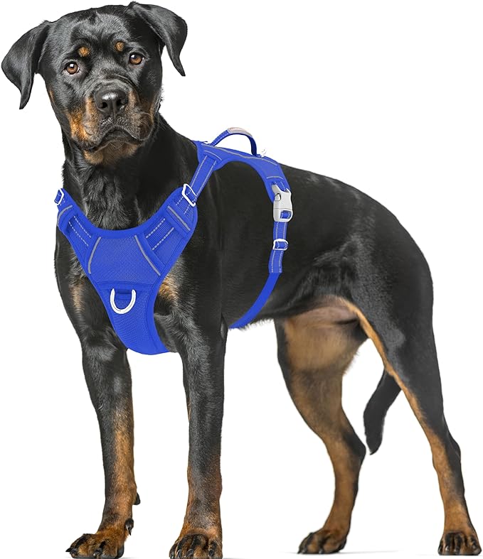 BARKBAY No Pull Dog Harness Large Reflective Dog Harness with Front Clip and Easy Control Handle for Walking Training Running with ID tag Pocket(Sapphire Blue,XL)