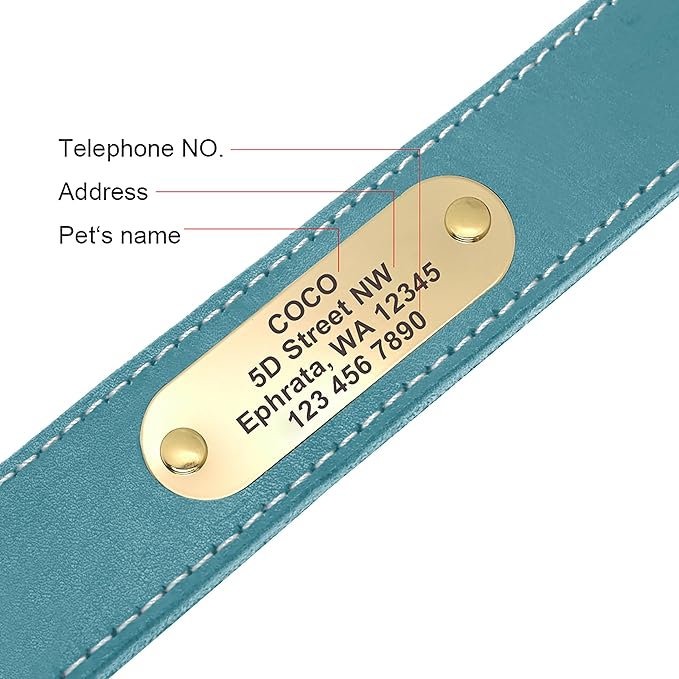 Didog Genuine Leather Dog Collars with Engraved Nameplate, Personalized Soft Leather Dog Collar with Custom ID Tag, Brown/Green/Red for Small Dogs (S,Blue)