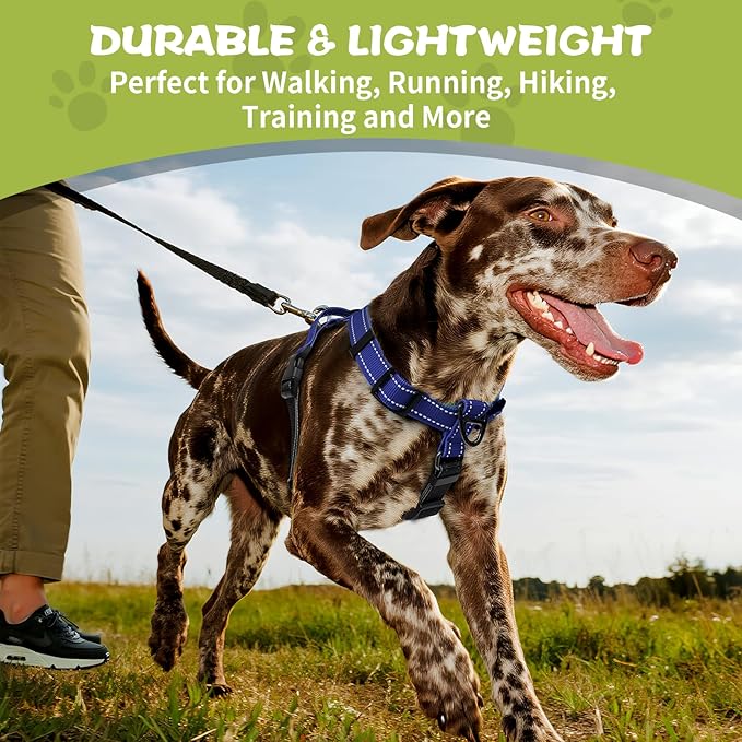 No-Pull Harness,Y-Shaped Design,Buckle-Neck Balance Harness with Reflective Stitching, Ideal for Dog Training and Night Walking, Padded Handle, Durable High-Tensile Nylon-Blue-L