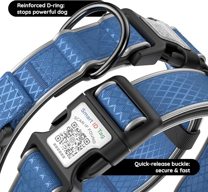 AirTag Dog Collar with QR Code ID & Waterproof Holder - Reflective, Durable Padded Oxford Collar Compatible with Apple AirTags for Small Puppy Dogs (Blue, S)