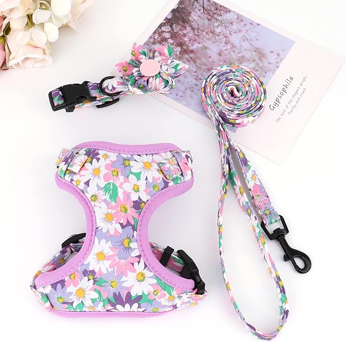 Beirui Cute Girl Dog Collars, Harnesses & Leashes Set - Adjustable Dog Collar and Leash Set with Flower - Soft Mesh Dog Vest Harness for Puppies Small & Extra Small Dogs Cats (Purple,XXS)
