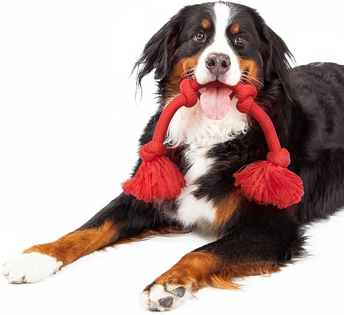 Playology Rope Toys for Dogs | Tug of War Dog Toy for Aggressive Chewers | Beef Scented Dog Toys | Mega Rope Toy for Interactive Play