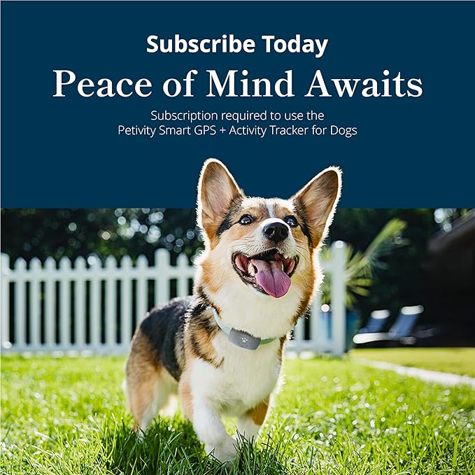 Petivity Smart GPS and Activity Dog Tracker