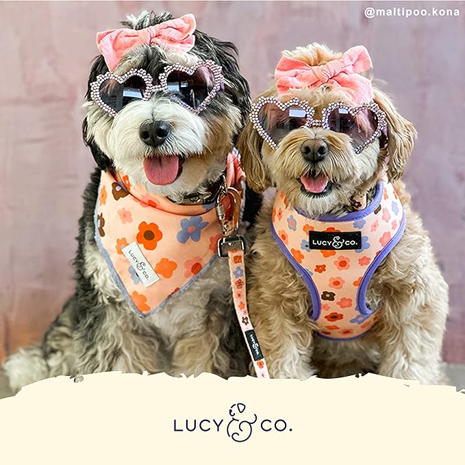 Lucy & Co. Purple with Coral Floral Wave, Cute Reversible Dog Harness Walking Halter - Best Designer Pet Harnesses for XS - XL Dogs - Padded Adjustable Vest for Easy Walking (X-Small)
