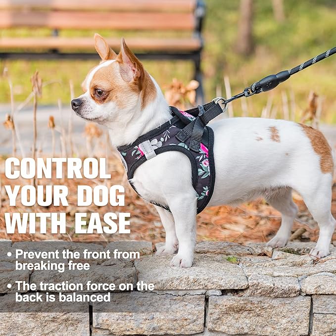 BEAUTYZOO Step in Dog Leash Set, Floral Pattern Reflective Harness No Pull No Choke Puppy Harness for XXS XS S Pets, Soft Padded Mesh Vest for Girl and Boy Dogs and Cats