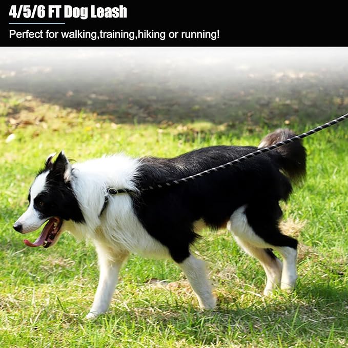 2 Pack Dog Leash, 4/5//6 FT Heavy Duty Nylon Rope Pet Leashes with Comfortable Padded Handle, Reflective Dog Leashes for Small Medium and Large Dogs (5FT-3/8,Black/Purple)