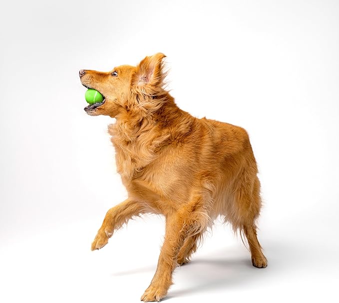 Playology Dog Toys | Squeaky Chew Ball - Bouncy Durable Floating Fetch Ball for Dogs | Medium Sweet Potato Scented Toy - Easy to Clean and Made from Non Toxic Materials