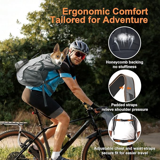 Dog Backpack Carrier, Ergonomic Pet Travel Bag, Suitable for Medium and Large Dogs, Built-in Leash and Adjustable Buckle, Ideal for Hiking and Cycling, M