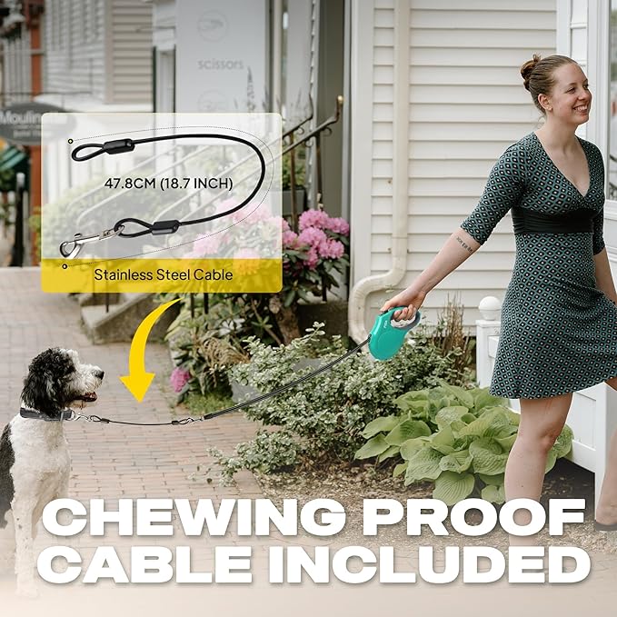 Fida Heavy Duty Retractable Dog Leash,16 ft Dog Walking Leash for Small Medium Dogs up to 44 lbs, Tangle Free. (Medium, Teel)