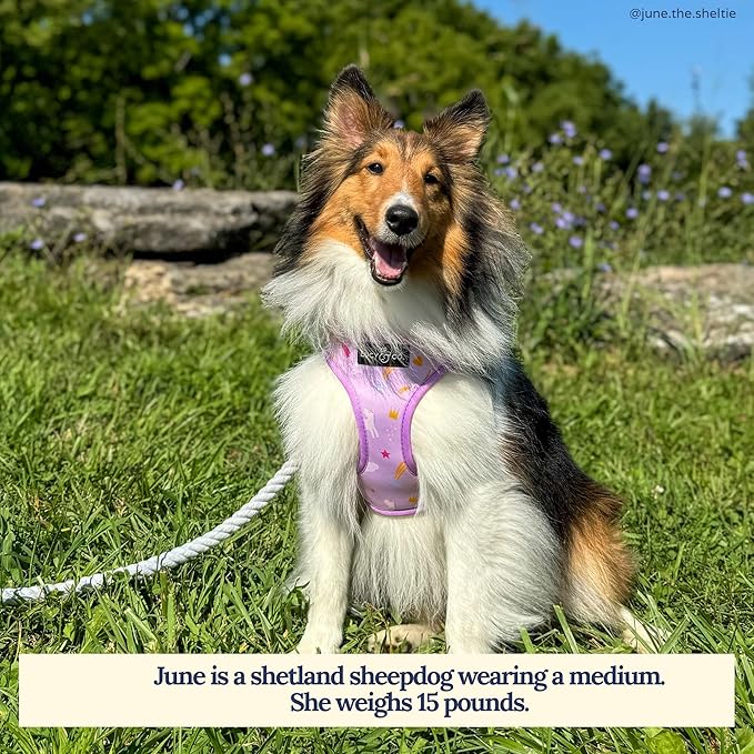 Lucy & Co. Cute Reversible Dog Harness Walking Halter - Best Designer Pet Harnesses for XS - XL Dogs - Padded Adjustable Vest for Easy Walking (Large, Unicorn Magic - Purple & Pink Unicorns)