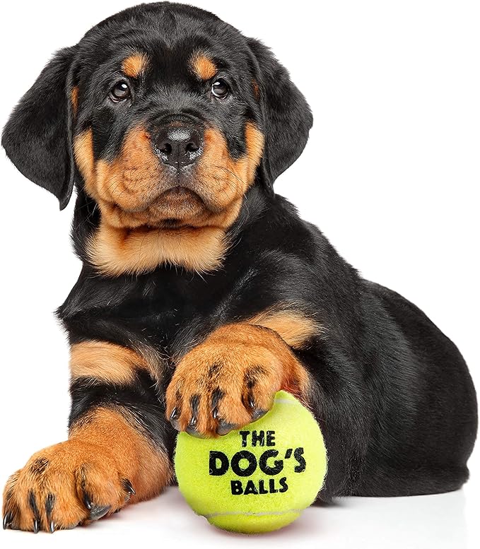 The Little Dog's Balls, Dog Tennis Balls, Yellow 6-Pack,Strong Toy for Agility Training, Puppy Training, Play, Exercise & Fetch, 1.9 Inches Diameter