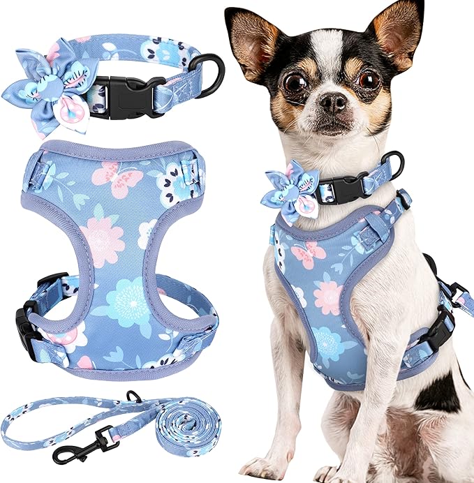 Beirui Cute Girl Dog Collars, Harnesses & Leashes Set - Adjustable Dog Collar and Leash Set with Flower - Soft Mesh Dog Vest Harness for Puppies Small & Extra Small Dogs Cats (Purple,XXS)