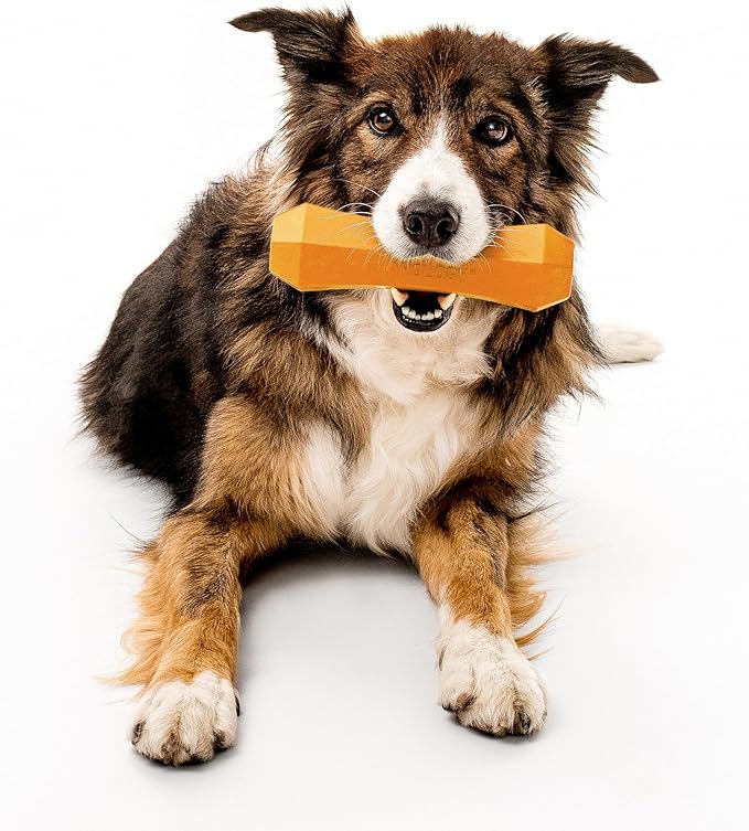 Playology Dog Toys | Durable Squeaky Chew Stick for Dogs | Jumbo Cheddar Cheese Scented Toy - Easy to Clean and Made from Non Toxic Materials
