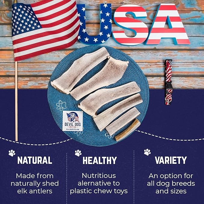 Devil Dog Pet Co. Split Elk Antlers for Dogs, Medium 5"+, 1 Pack, Grade A Long Lasting Chew for Aggressive Chewers, Premium USA Naturally Shed Antler – Healthy, No Odor, Durable Dog Chew