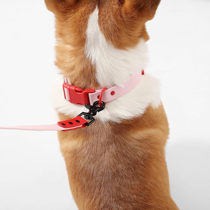 WLK1005G-5SET Luna Medium 8FT Adjustable 6-in-1 Waterproof Hands-Free Leash and Collar with LED Flashlight, Bag Dispenser, and Poop Bag Holder, Paloma