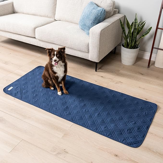 PetAmi Waterproof Couch Cover for Dogs, Waterproof Pet Blanket, Reversible Furniture Cover Sofa Protector for Pet Cat Bed, Washable Waterproof Blanket Dog Cover for Couch Seat, 30x70 Blue