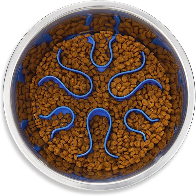 Outward Hound Stainless Steel Slow Feeder Bowl, Plastic Puzzle Maze for Fast Eaters, Small to Medium Dogs, Helps Prevent Bloat & Aid Digestion, Holds 2 Cups Wet or Dry Food, Non-Slip, Made Without BPA