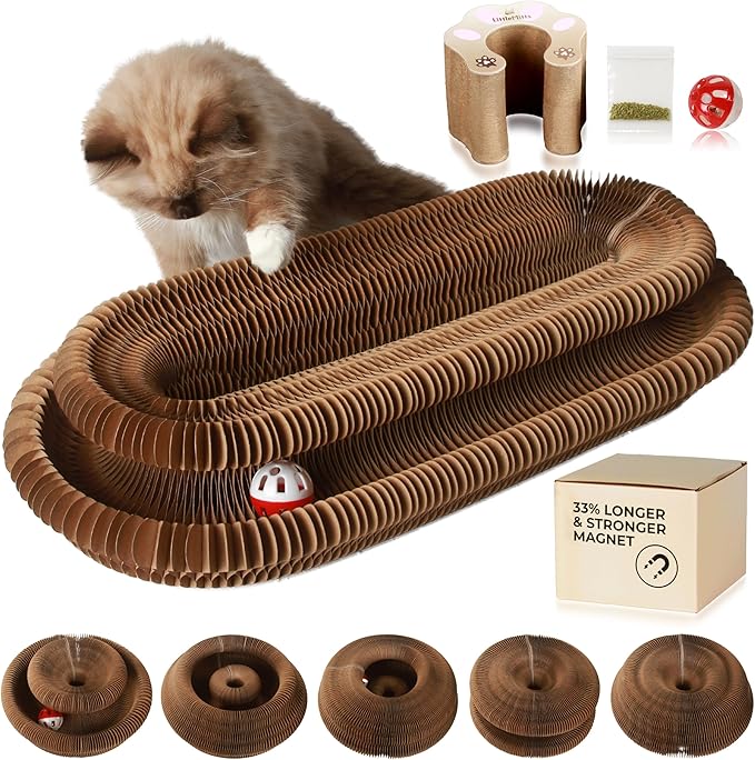 Magic Organ Cat Scratcher Board Toy with Bell Ball and Catnip - Longer, Stretchier Accordion Cardboard Scratching Pad with 4 Strong Magnets - Interactive Fun and Enrichment for Indoor Cats