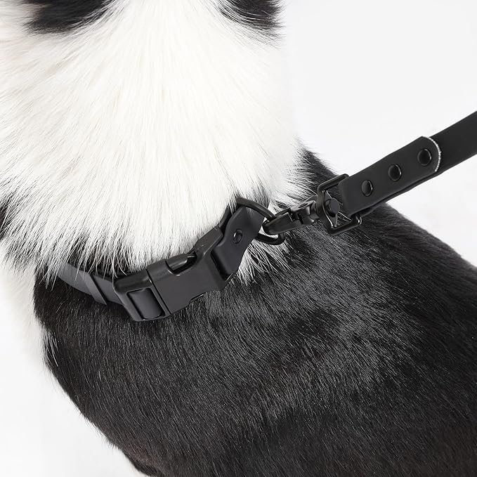 WLK1006I-5SET Luna Large 8FT Adjustable 6-in-1 Waterproof Hands-Free Leash and Collar with LED Flashlight, Bag Dispenser, and Poop Bag Holder, Bitters