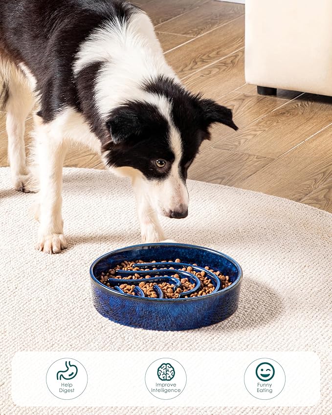 vancasso Slow Feeder Dog Bowl, 3 Cup Ceramic Slow Feeding Food Dish for Large Breed, Puzzle Dog Food Bowl for Fast Eater, Blue