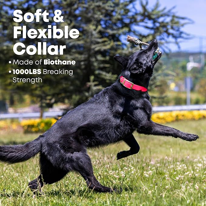 Regal Dog Products Large Pink with Custom Engraved Reflective Dog Collar and Leash Set | Waterproof Dog Collar with D Ring | Center Ring & 5'ft Leash | Matching Dog Collar and Leash for Dogs