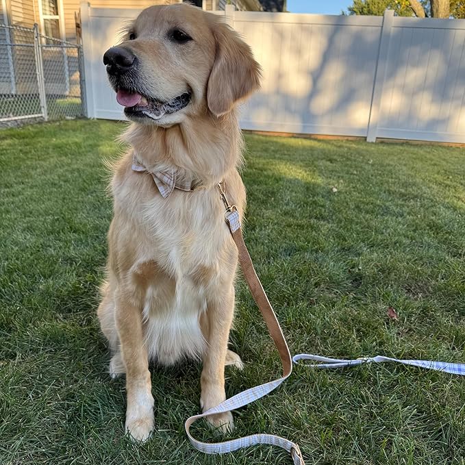 PETDURO Personalized Dog Collar Brown Plaid for Large Medium Dogs | Engraved Name and Phone Number on Gold Metal Buckle for Boys & Girls | Add Leash & Bow Tie via Customize Now