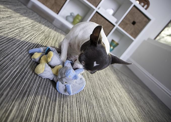 goDog Dinos Frills Squeaky Plush Dog Toy, Chew Guard Technology - Gray, Small