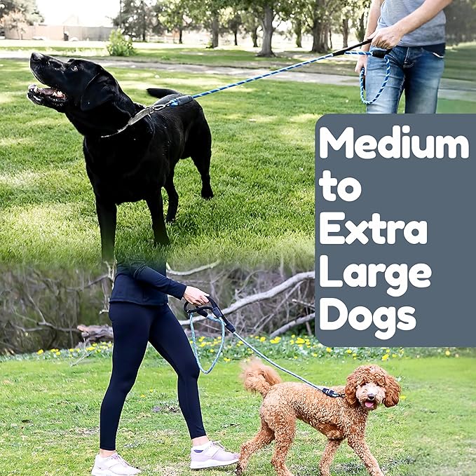 6 Foot Dog Leash, Two Extra Padded Handles, Locking Carabiner Clip, Reflective for Night Visibility, Weatherproof, Heavy Duty Rope Leash, Roam Gear (Blue)