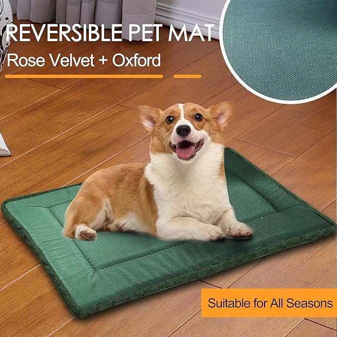 Washable Dog Bed Plush Orthopedic Outdoor Crate Mat with Non-Slip Bottom,Luxe Soft Kennel Pad for Pets,Cozy Cage Cushion & Pet Sleeping Mattress Large Sized,Medium,Small Dogs,30 x 20 inch,Green