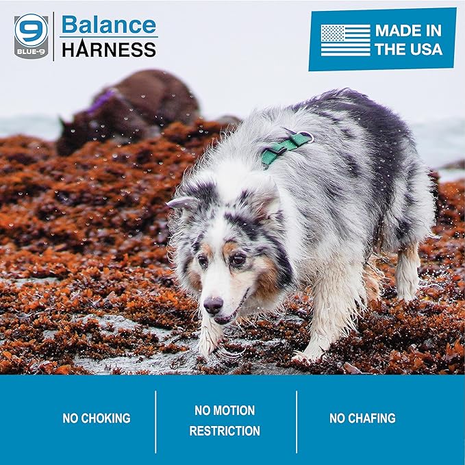 Blue-9 Buckle-Neck Balance Harness, Fully Customizable Fit No-Pull Harness, Ideal for Dog Training and Obedience, Made in The USA, Hunter Green, Extra Small
