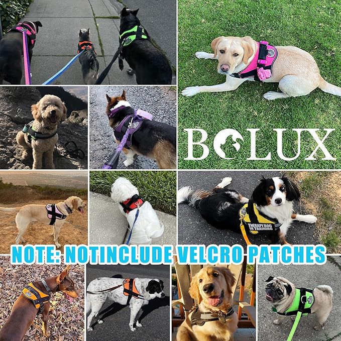 Bolux Dog Harness, No-Pull Reflective Dog Vest, Breathable Adjustable Pet Harness with Handle for Outdoor Walking - No More Pulling, Tugging or Choking (OceanicBlue, X-Small (Pack of 1))