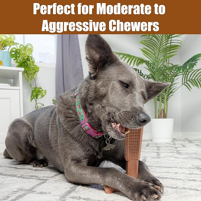 SPOT Bam-Bones Plus T Bone - Bamboo Fiber & Nylon Dog Chew Toy for Moderate to Aggressive Chewers, Non-Splintering, Long-Lasting, 7in Beef Flavor, for Adult Dogs & Teething Puppies Under 90lbs