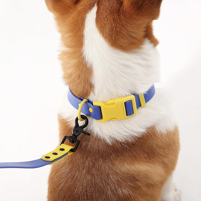 WLK1005C-5SET Luna Medium 8FT Adjustable 6-in-1 Waterproof Hands-Free Leash and Collar with LED Flashlight, Bag Dispenser, and Poop Bag Holder, Curaçao