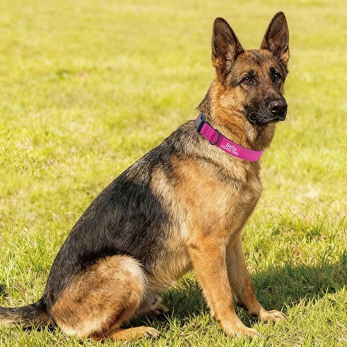 Personalized Dog Collar with Name and Phone Number Reflective Soft Neoprene Padded Custom Dog Collar for Small Medium Large Boy Girl Dogs