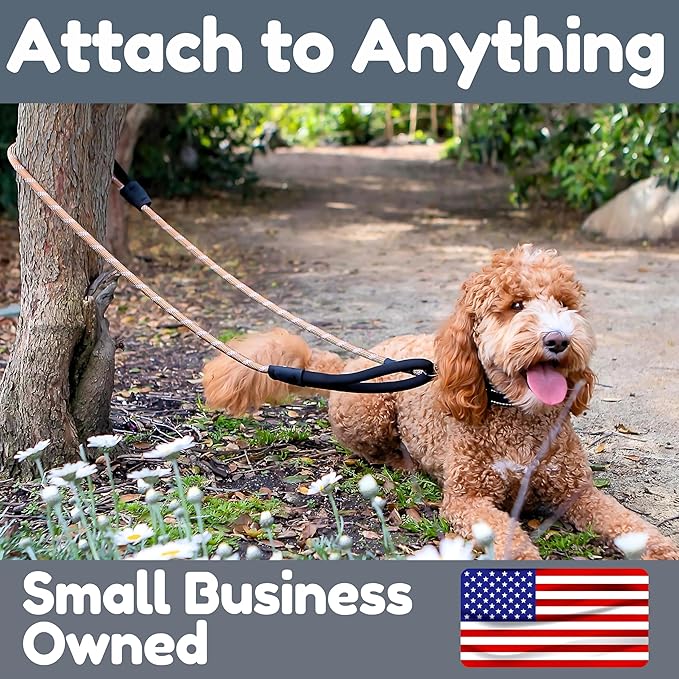 6 Foot Dog Leash, Two Extra Padded Handles, Locking Carabiner Clip, Reflective for Night Visibility, Weatherproof, Heavy Duty Rope Leash, Roam Gear (Brown)