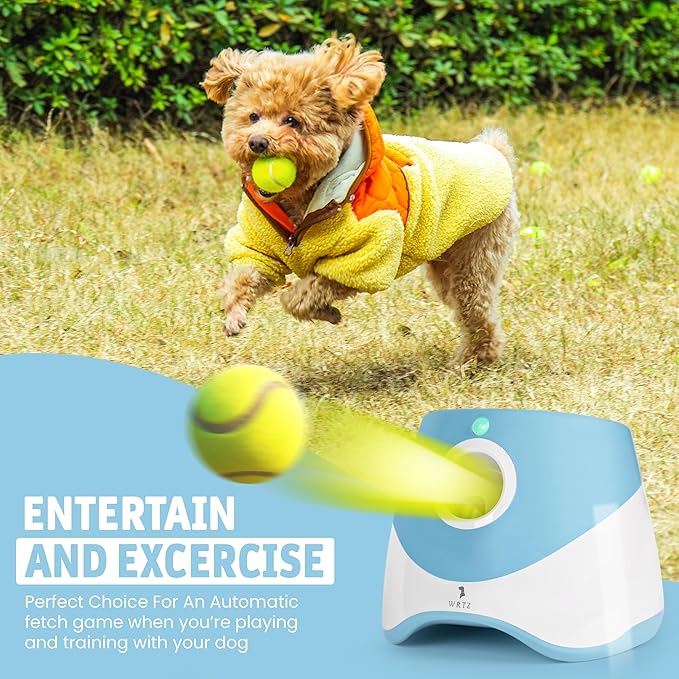 12 Small Tennis Balls for Dogs | 2 Inch Dog Fetch Toys for Your Smaller Pups | Non-Abrasive for Smaller Mouths | Interactive Dog Toys for Boredom & Fun | Works with Ball Launcher for Small Dogs